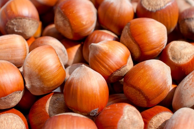 ORGANIC HAZELNUTS SHELL