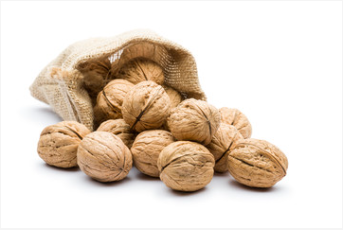 WALNUT SHELL