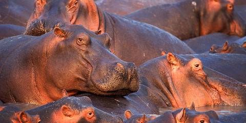 5-Day Tarangire, Serengeti & Ngorongoro Crater Safari