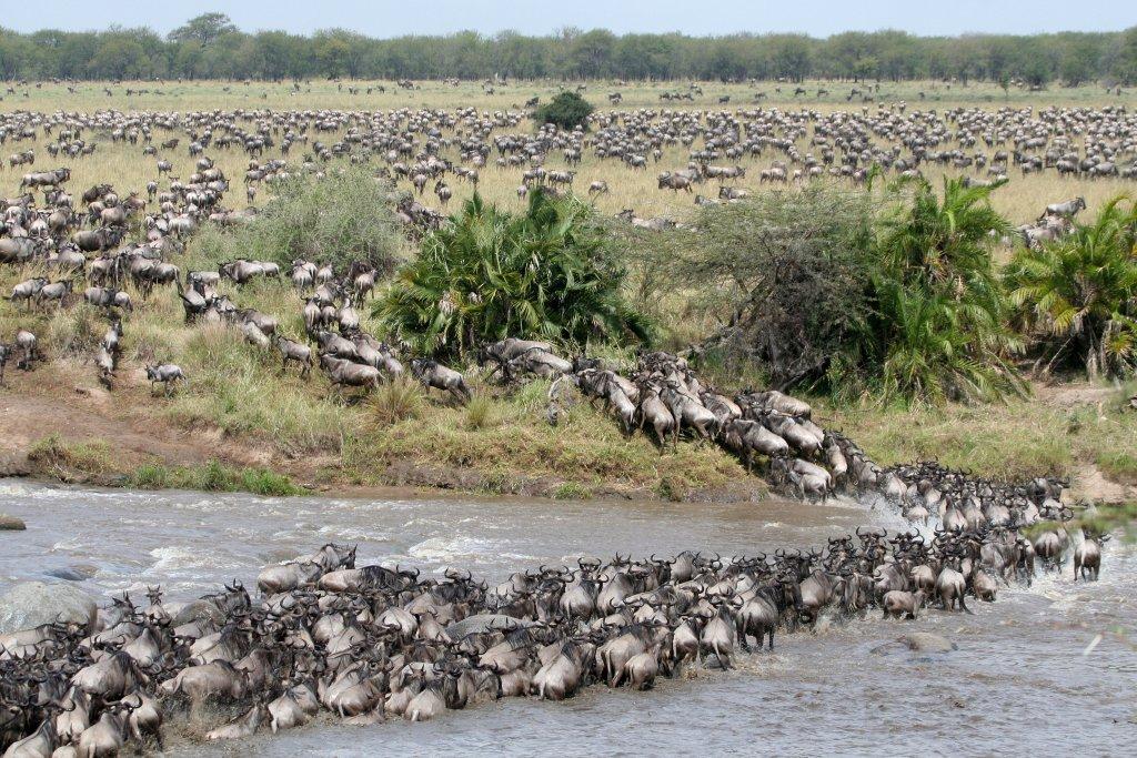 7-Day Tarangire, Lake Manyara, Serengeti, Ngorongoro & Materuni Falls Safari