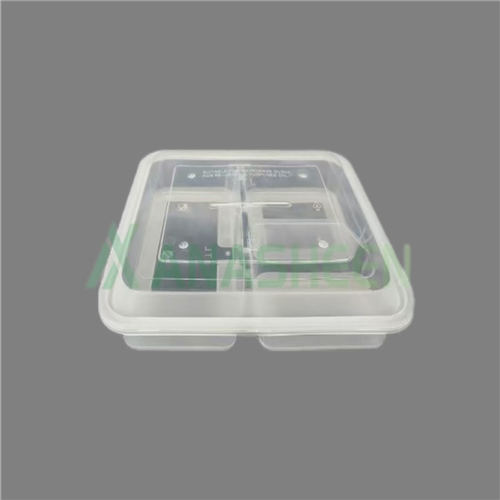 4-Compartment Transparent Takeout Container