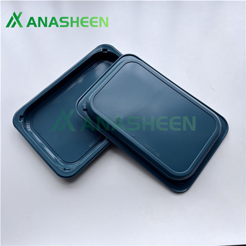 High-Barrier Skin Trays 26×17×20cm