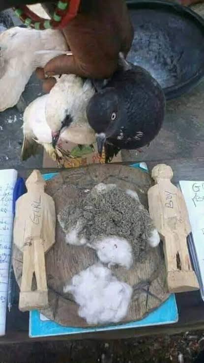 The most spiritual powerful herbalist in Nigeria 09059208421