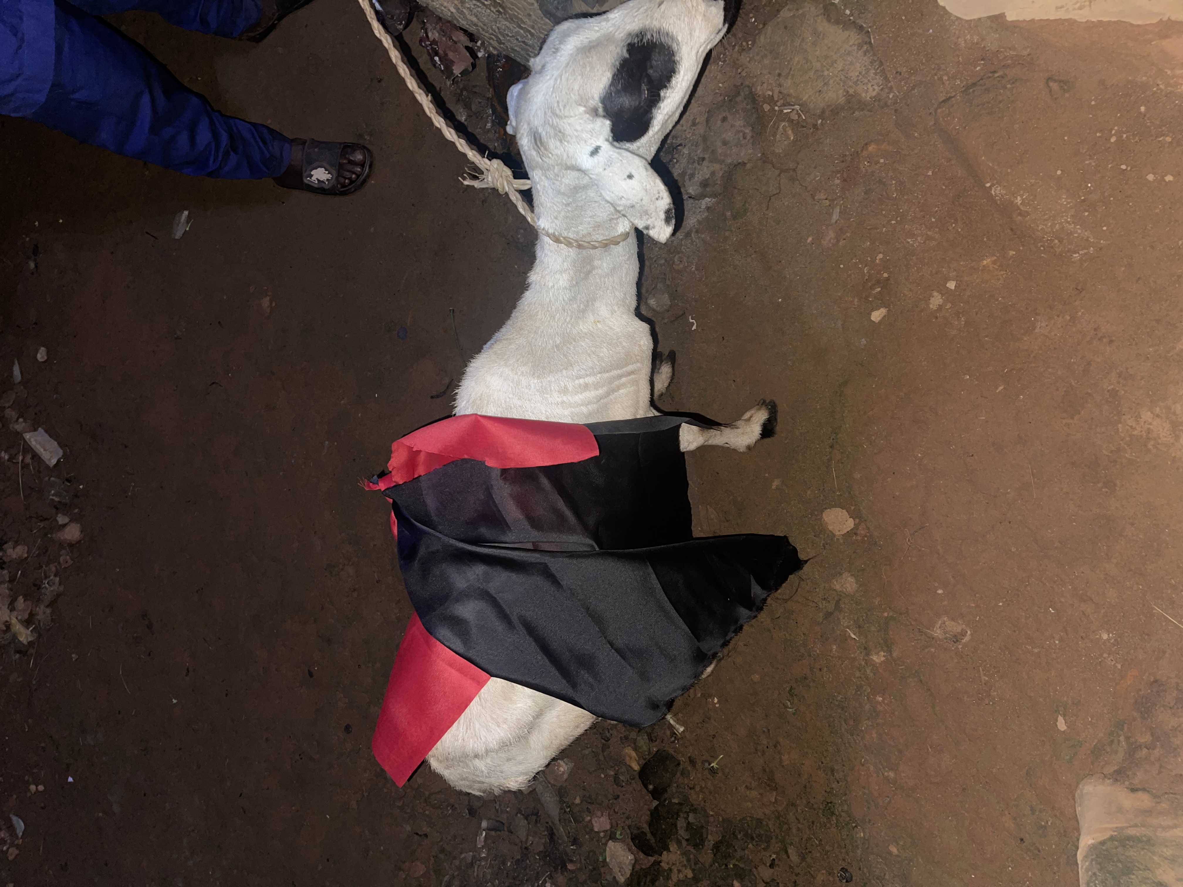 The most spiritual powerful herbalist in Nigeria 09059208421