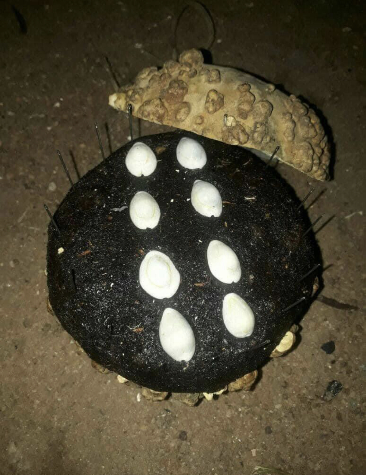 The most spiritual powerful herbalist in Nigeria 09059208421