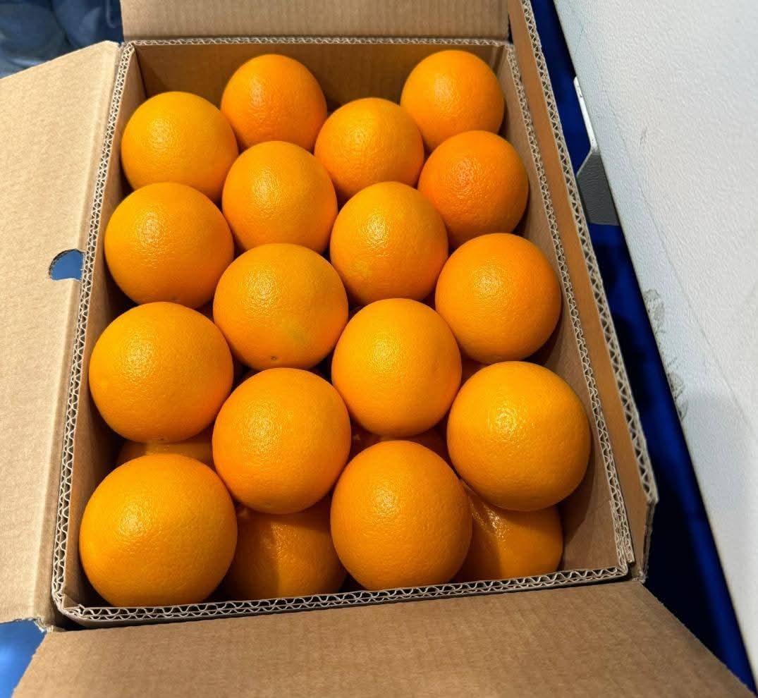 Fresh Valencia Oranges