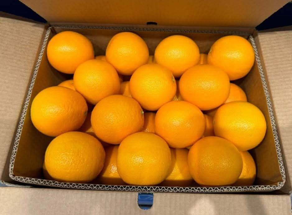 Fresh Valencia Oranges