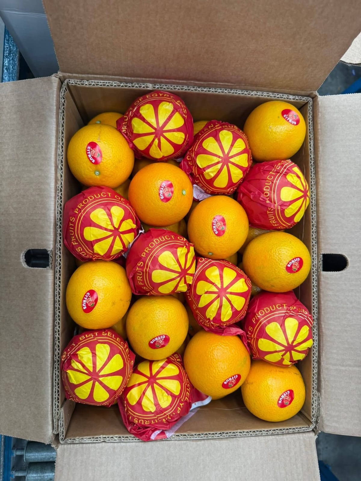 Fresh Valencia Oranges