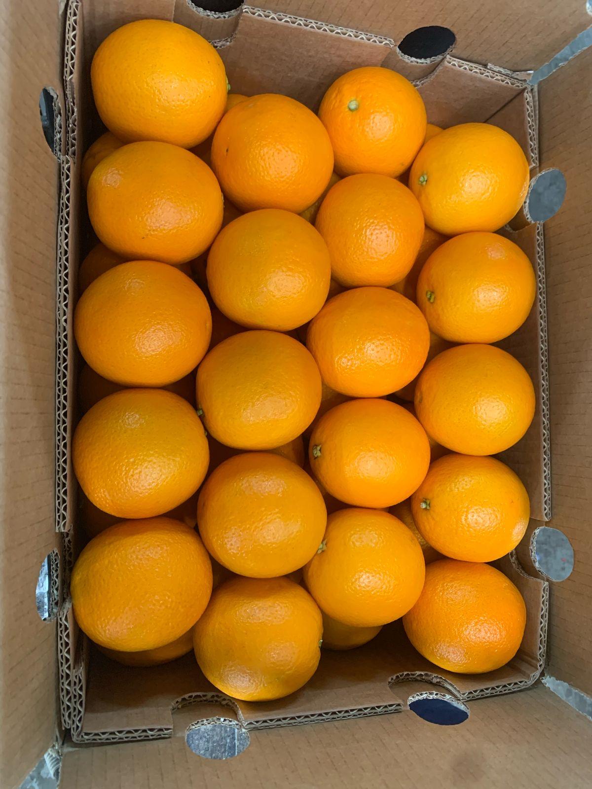 Fresh Valencia Oranges