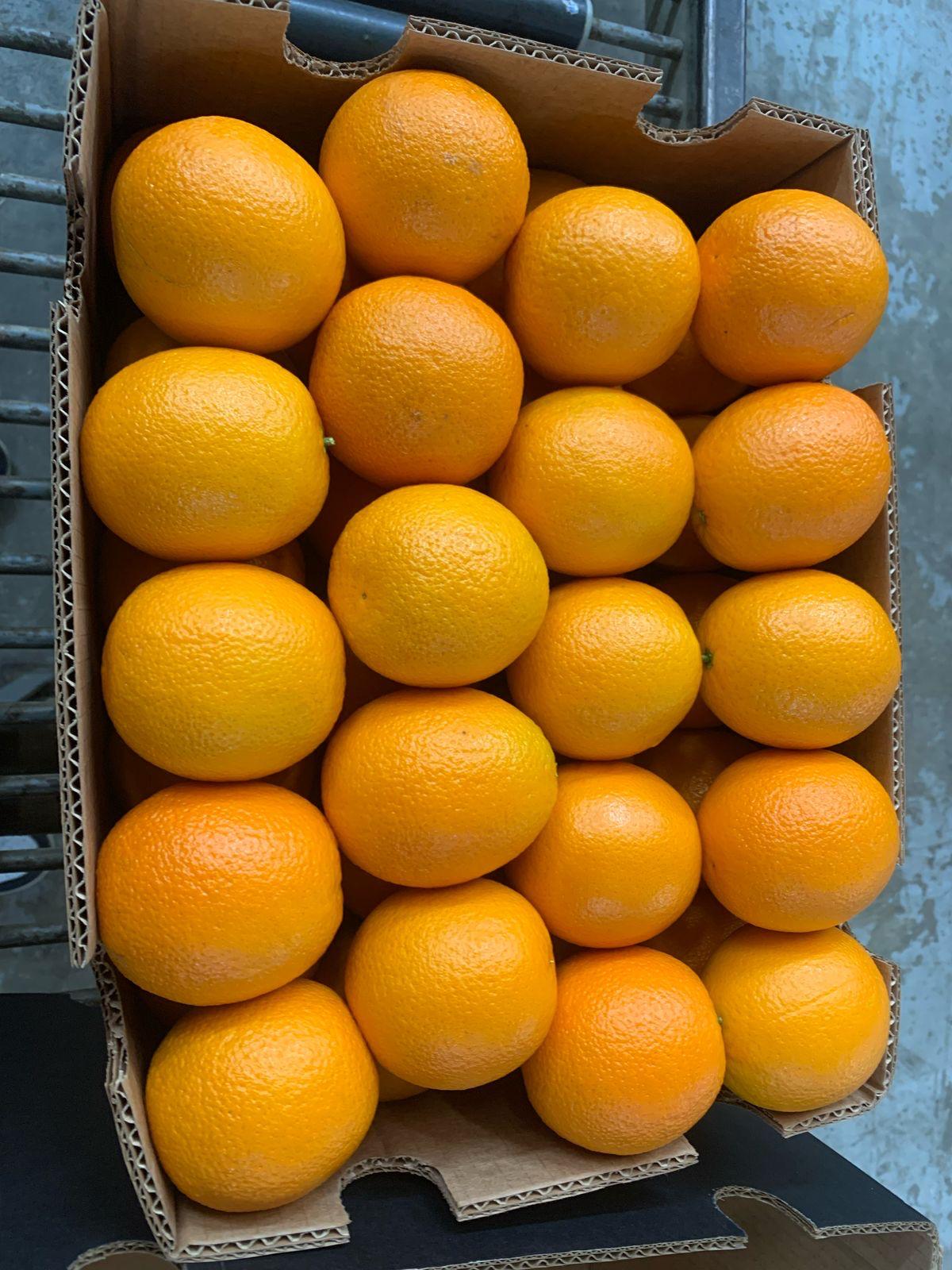 Fresh Valencia Oranges