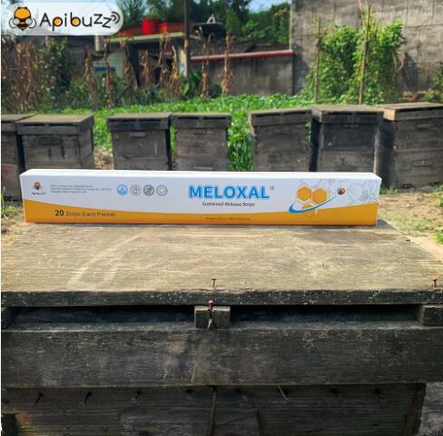 MELOXAL High-Dose Oxalic Acid Strips