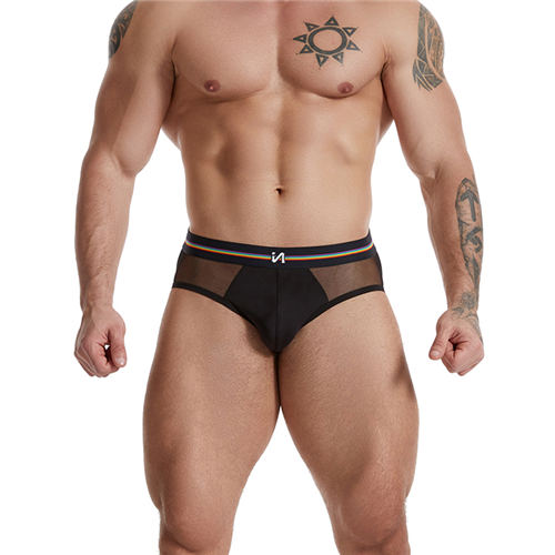 OEM Men Black Mesh Transparent Brief