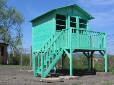 Wooden Dog Houses