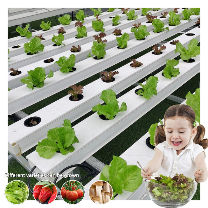 Best Quality NFT Hydroponics System Standard PVC Channel Water-Saving Hydroponic Growing System nft hydroponic system