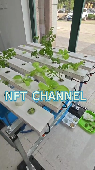 China Factory New  Super farm Hydroponic NFT growing system nft channel pvc Horizontal nft basic hydroponic system