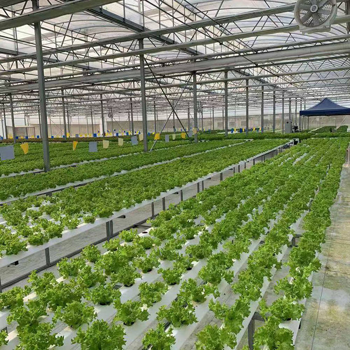 China Factory New  Super farm Hydroponic NFT growing system nft channel pvc Horizontal nft basic hydroponic system