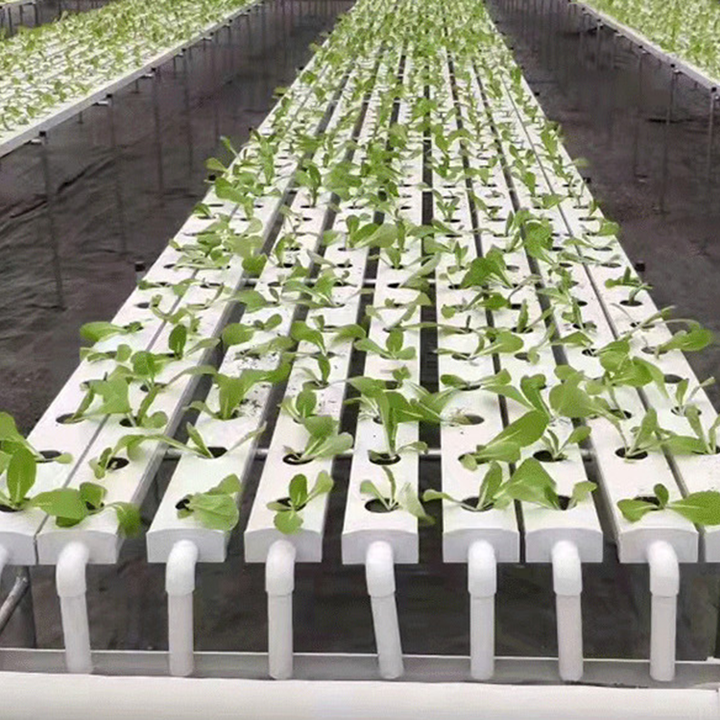 Easy to install lettuce planting agricultural hydroponic tray plastic PVC local hydroponic NFT channel