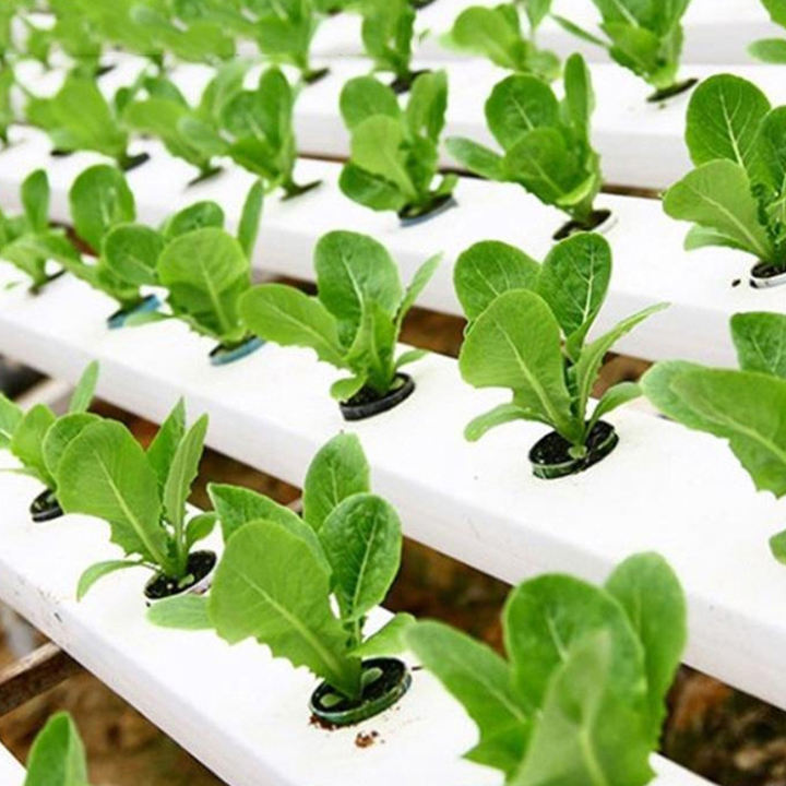 Easy to install lettuce planting agricultural hydroponic tray plastic PVC local hydroponic NFT channel