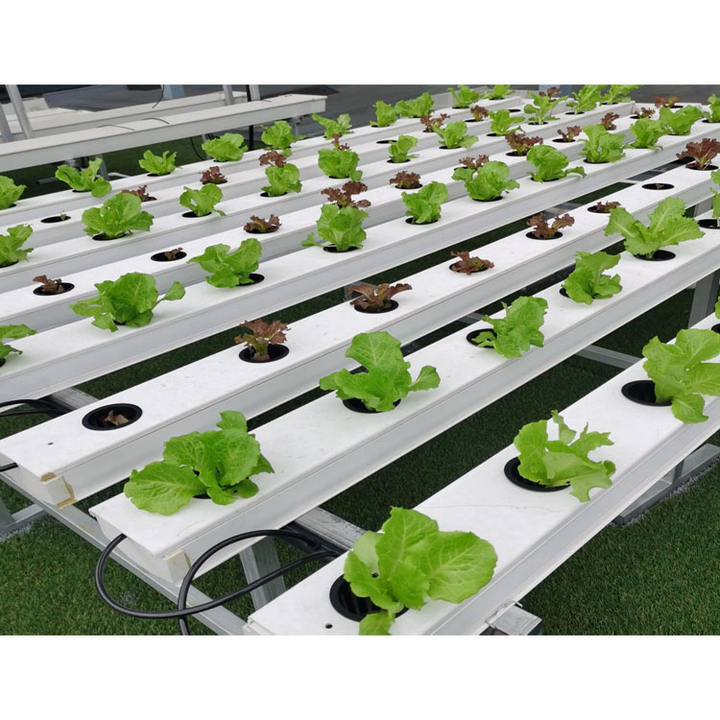 Greenhouse Agricultural frame planting table hydroponic planting system Hydroponics System Farm Hydroponics Grow Nft Channel Manufacturing and Export