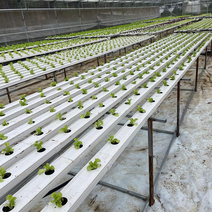 Greenhouse Food Grade Pvc Pipe Nft Channel Hydroponic Growing System Nft Pipes Hydroponics