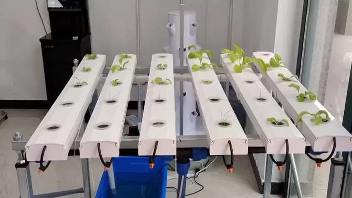 Hot selling NFT planting hydroponic lettuce PVC channel sustainable hydroponic garden system