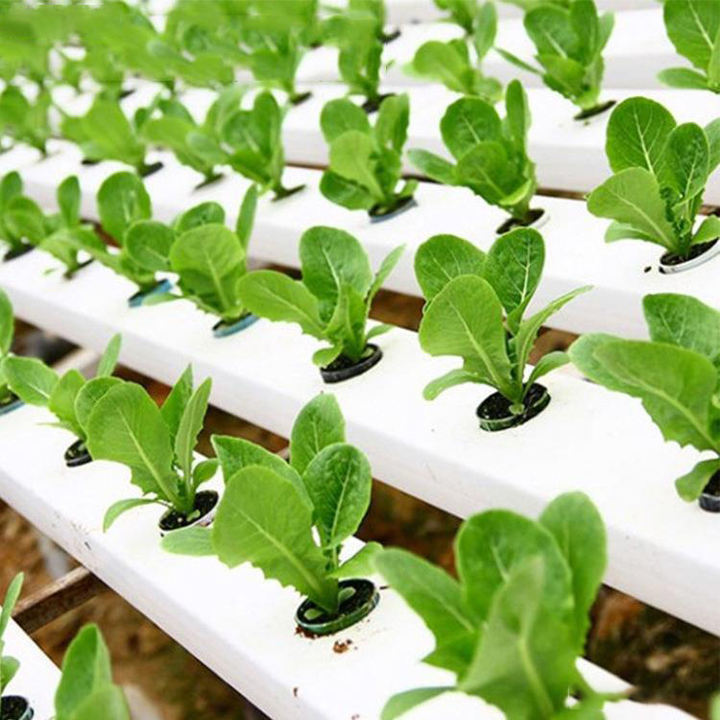 Hot selling NFT planting hydroponic lettuce PVC channel sustainable hydroponic garden system