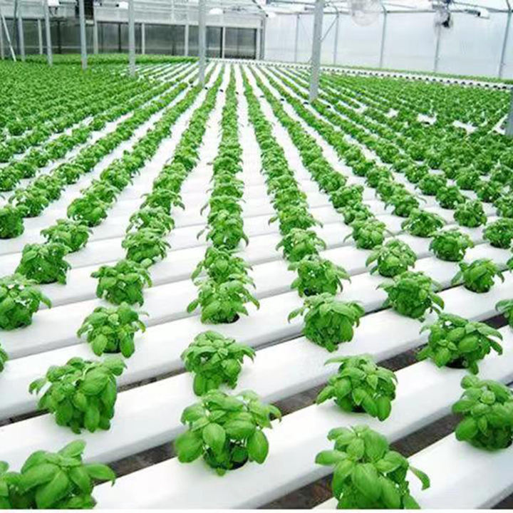 Hot selling NFT planting hydroponic lettuce PVC channel sustainable hydroponic garden system