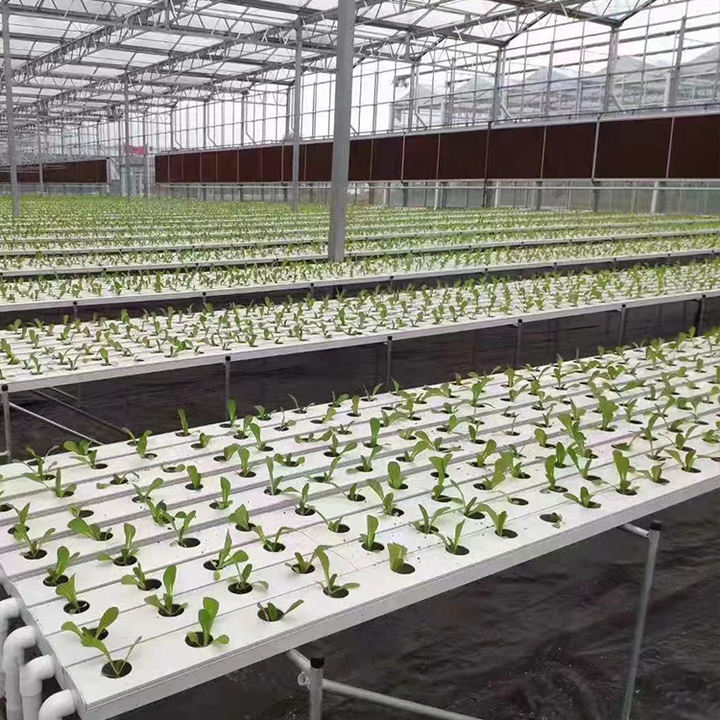 NFT hydroponic channels growing system for home use Chinese Supplier Agricultural Hydroponic Lettuce Growing Systems