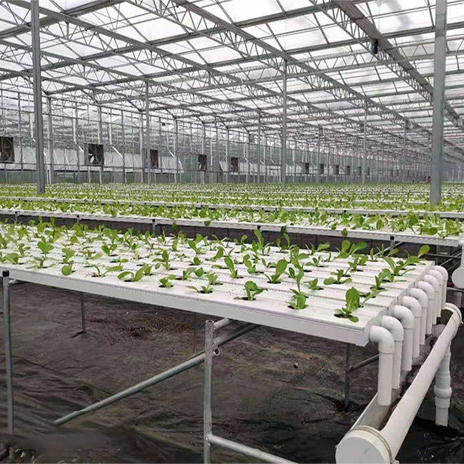 PVC Pipe Vertical Hydroponics Grow Kit For Farm NFT System With 72 Holes Kits hydroponic plant systems for Strawberry or Lettuce