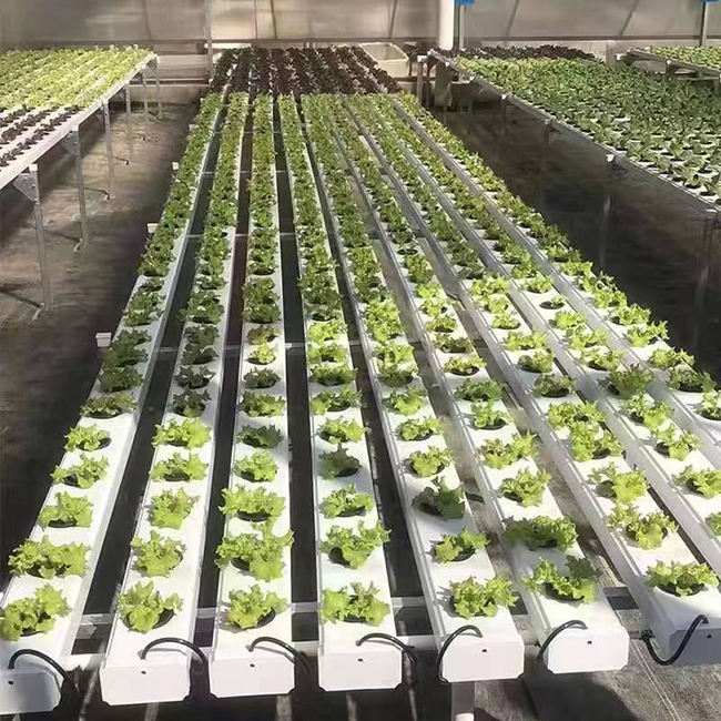 Plant hydroponic system Farm NFT hydroponic framework Agricultural greenhouse Closed hydroponic system