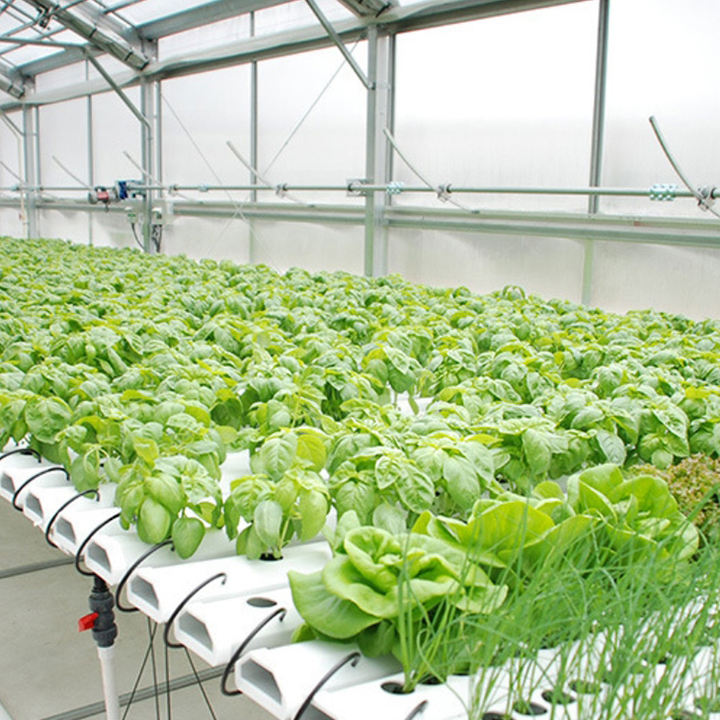 cultivation planting lettuce Horizontal Type Greenhouse Hydroponic System PVC NFT Channel for Planting leafy vegetables