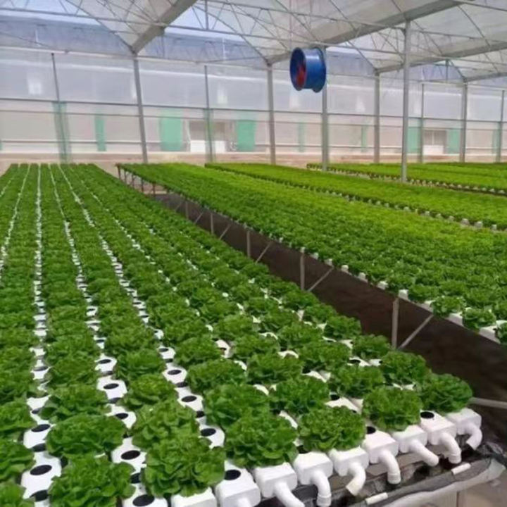 different square planting center soilless nft lettuce hydroponic  set up growing system