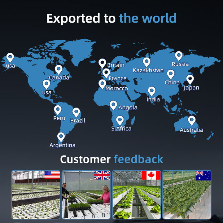 Hydroponic module cup hydroponic fodder trays agriculture greenhouse hydroponic tube for planting vegetable Industrial Exporter
