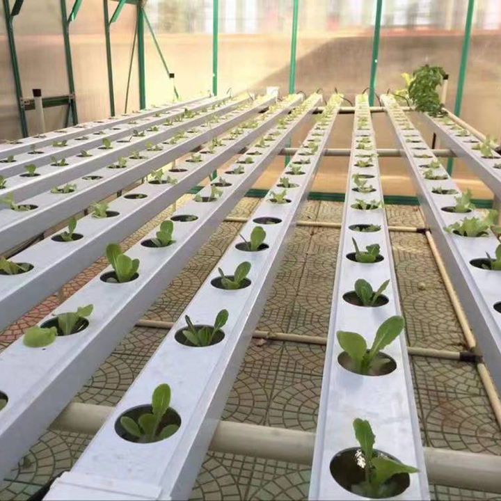 Lettuce plant nft hydroponic system grow aeroponics kit pvc tube smart farm layflat hose 50mm nft channel hydroponics system Mass Market Wholesale Customization