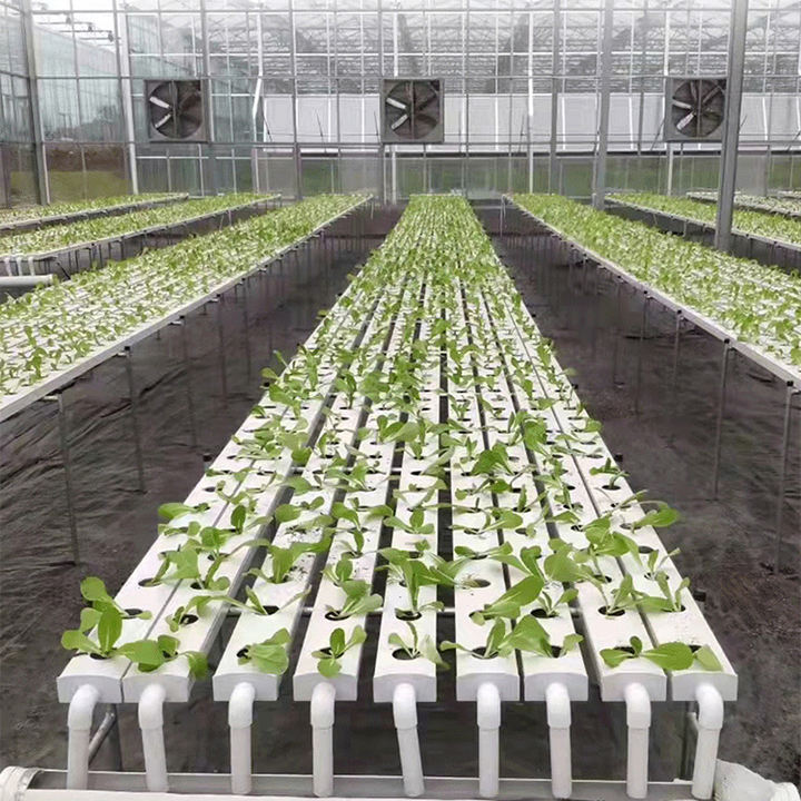 Lettuce plant nft hydroponic system grow aeroponics kit pvc tube smart farm layflat hose 50mm nft channel hydroponics system Mass Market Wholesale Customization