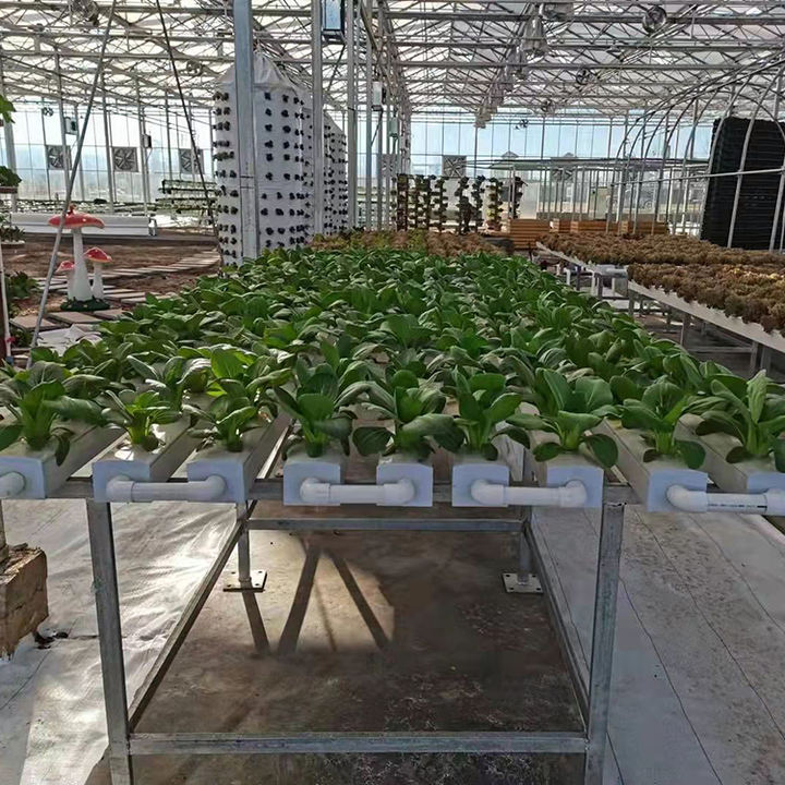 Lettuce plant nft hydroponic system grow aeroponics kit pvc tube smart farm layflat hose 50mm nft channel hydroponics system Mass Market Wholesale Customization