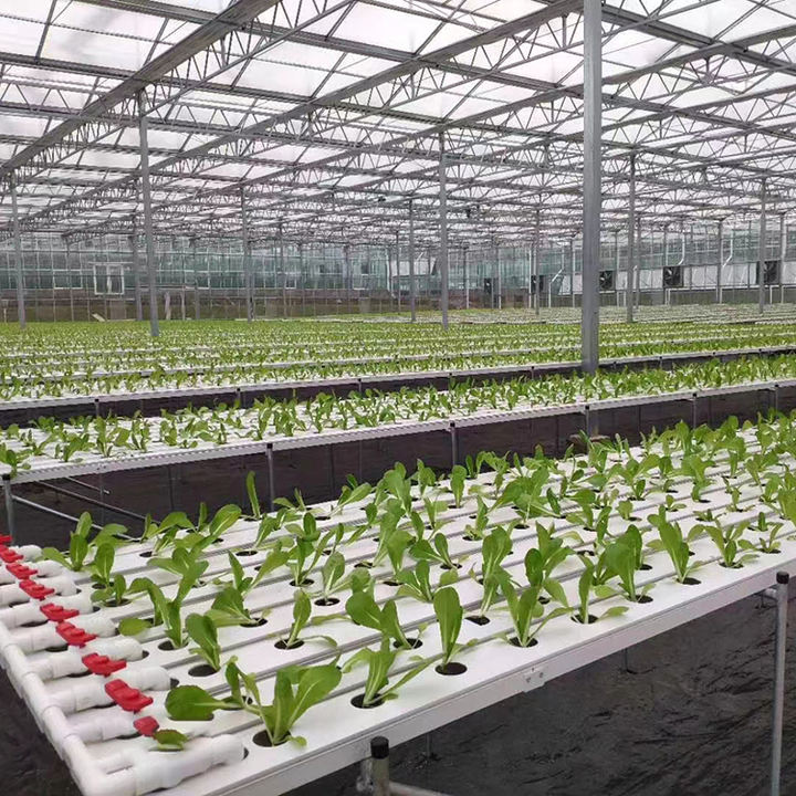 Lettuce plant nft hydroponic system grow aeroponics kit pvc tube smart farm layflat hose 50mm nft channel hydroponics system Mass Market Wholesale Customization