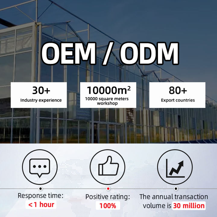 10 x 20 green house Commercial  Greenhouse  glass  covering commercial agricultural multi-span glass greenhouse Custom Manufacturing Network