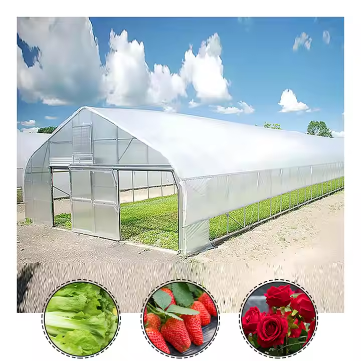 10 x 20 plant tomato solar  polyane plastic farming houses green house agricultural pe frame greenhouse structure for sale