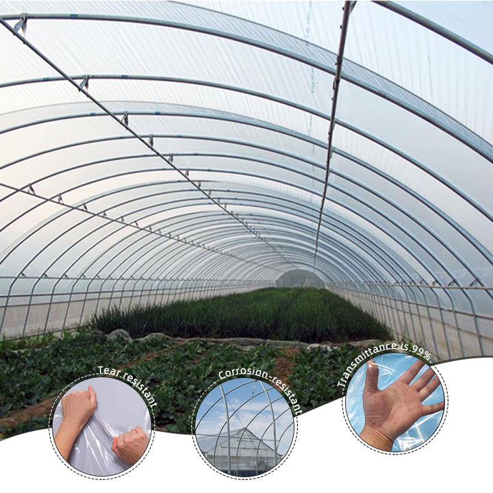 10 x 20 plant tomato solar  polyane plastic farming houses green house agricultural pe frame greenhouse structure for sale