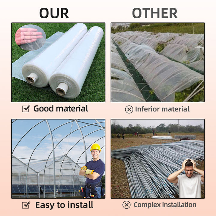 10 x 20 plant tomato solar  polyane plastic farming houses green house agricultural pe frame greenhouse structure for sale