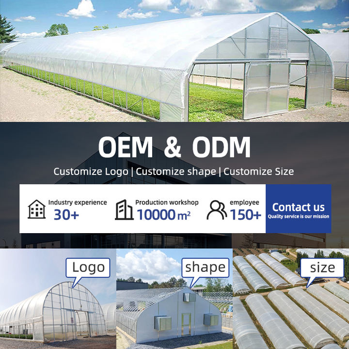 10 x 20 plant tomato solar  polyane plastic farming houses green house agricultural pe frame greenhouse structure for sale