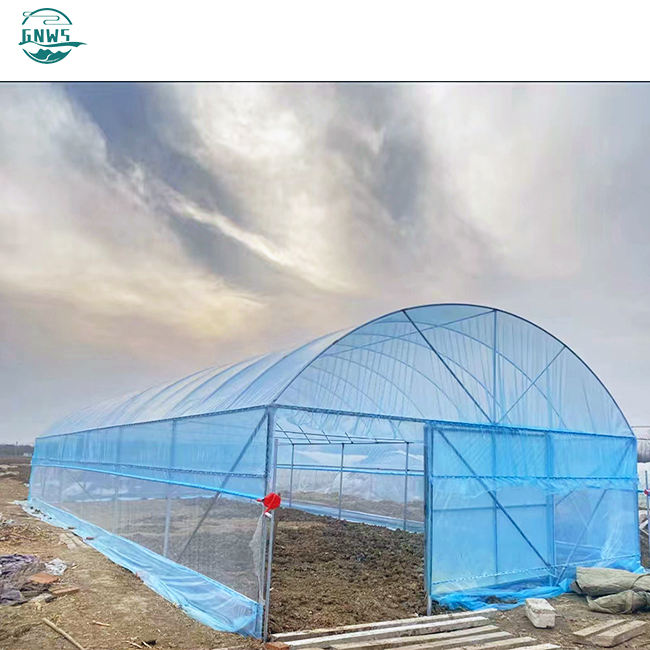 300 Square meter in stock low cost large single span tunnel vegetable greenhouse green house used for sale