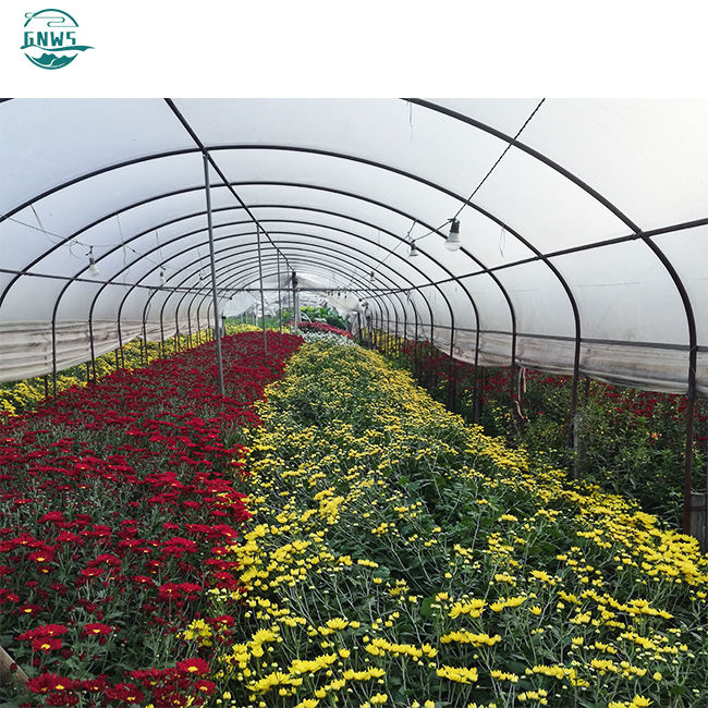 300 Square meter in stock low cost large single span tunnel vegetable greenhouse green house used for sale