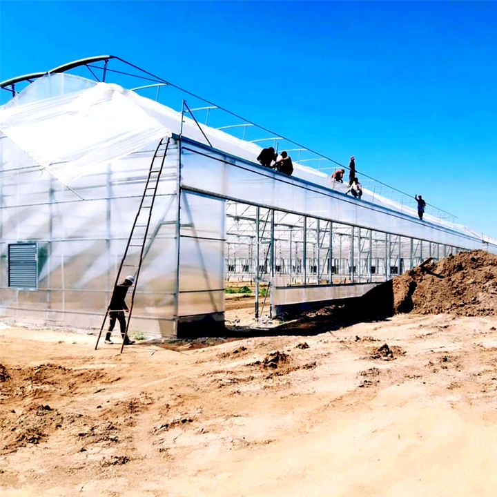 50m square thermal blanket polyethylene greenhouse film mushroom production  onion nigeria vegetable greenhouses