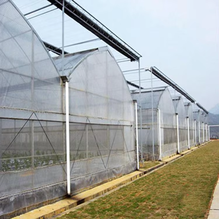 8x30m Agriculture Tomato Greenhouse Frames Plastic Film Single Span Tunnel Greenhouses