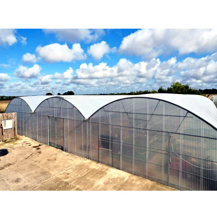 8x30m Agriculture Tomato Greenhouse Frames Plastic Film Single Span Tunnel Greenhouses