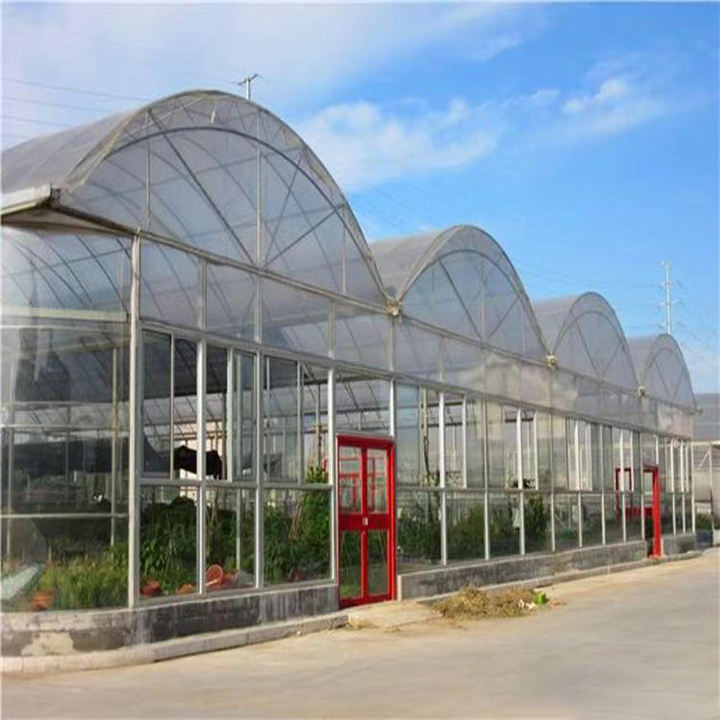 8x30m Agriculture Tomato Greenhouse Frames Plastic Film Single Span Tunnel Greenhouses