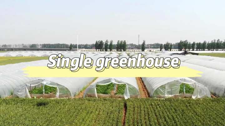 8x30m PE Agriculture Tomato plants Green house Frames Plastic Film Single Span Tunnel Greenhouses