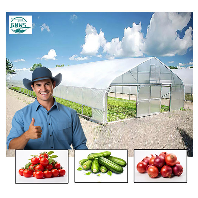 8x30m PE Agriculture Tomato plants Green house Frames Plastic Film Single Span Tunnel Greenhouses